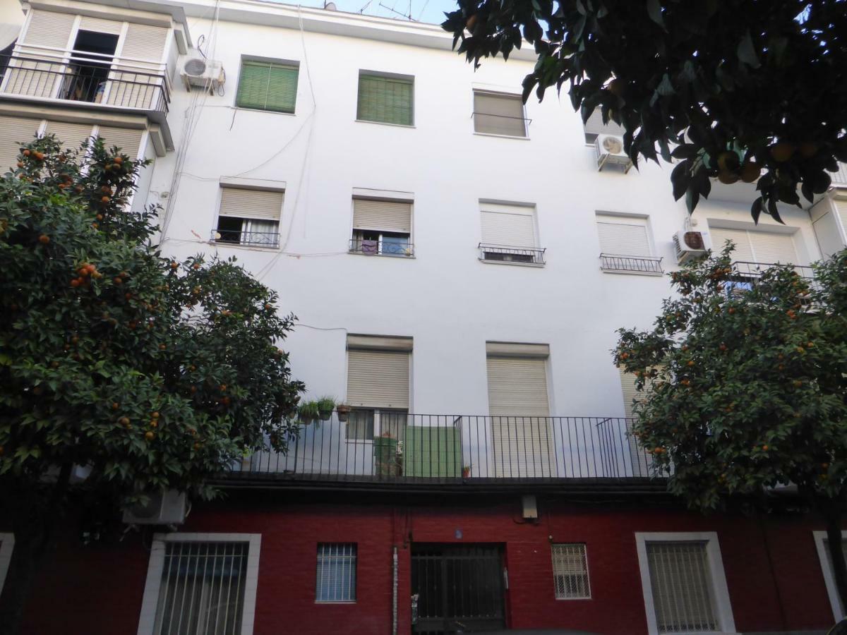 Esencia Sevilla Ngoại thất bức ảnh